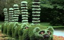 Video: “Ngả mũ bái phục” những ý tưởng làm vườn có một không hai