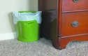Video: Đặt thùng rác sai vị trí là rước họa vào nhà