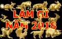 Video: Vận hạn tháng 1 năm 2018 của 12 con giáp