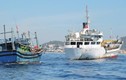 Tàu cá Quảng Nam bị đâm ở vùng biển Hoàng Sa