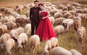 Ấn tượng bộ ảnh cưới bên đàn cừu của cặp đôi 8X