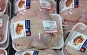 Mỹ phủ nhận bán phá giá thịt gà tại Việt Nam