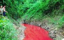 Phát hiện thủ phạm tạo ra "dòng suối máu" ở Điện Biên