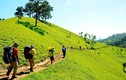 Băng rừng trên cung đường trek đẹp nhất Việt Nam