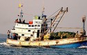 Bắt 3 tàu Thái Lan đánh bắt trái phép trên biển Việt Nam