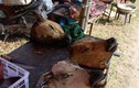 Hàng trăm con bò "ngã xuống" cho lễ hội chợ Viềng