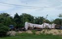 Quảng Ngãi: Tạm giữ xe chở cây “siêu khủng” sau hai ngày truy tìm
