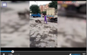 Video: Khỉ trộm xe đạp cưỡi đi gây náo loạn đường phố