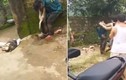 Video: “Cẩu tặc” bị đánh hội đồng, treo xác chó lên cổ