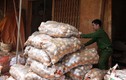 Phát hiện thêm cơ sở biến khoai tây Trung Quốc thành hàng Đà Lạt