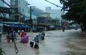 Hình ảnh người dân Ninh Thuận vật lộn trong nước lũ 