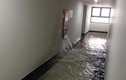 Vỡ đường ống cứu hỏa, chung cư An Bình City - Geleximco "ngập lụt"