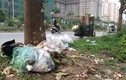 Rác thải bị vứt bừa bãi khiến đường phố Hà Nội nhìn như làng quê