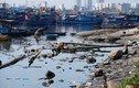 Âu thuyền lớn nhất Đà Nẵng bị rác thải bủa vây