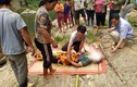 Yên Bái: Phát hiện xác chết trên suối, nghi bị điện giật 