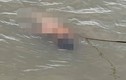 Phát hiện thi thể thiếu niên khỏa thân trên sông Cấm