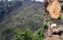 Lạng Sơn: Rừng đầu nguồn bị "cạo trọc", chính quyền nói để trồng rừng? 