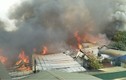 Cháy lớn tại làng nghề sản xuất nội thất đồ gỗ Thạch Thất