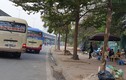 Thấy CSGT, hàng loạt xe khách bỏ chạy túi bụi trên phố Hà Nội