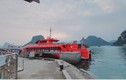 Quảng Ninh: Bến cảng đìu hiu, tàu thuyền nằm im 1 chỗ mùa COVID-19