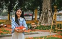 Vì sao cây hoa gạo lớn ở Hà Nội thu hút giới trẻ?