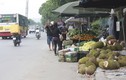 Chợ tự phát mọc lên như nấm dọc đại lộ Thăng Long