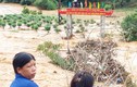 Lạng Sơn: Mưa lớn biến phố thành sông, 1 người tử vong