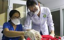 Quảng Bình: Nhiều y bác sĩ xin nghỉ việc vì áp lực, lương thấp