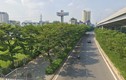 Sau 5 năm chặt hàng cây cổ thụ, đường Phạm Văn Đồng rợp màu xanh