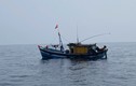 Bắt giữ hai tàu cá đánh bắt thủy sản trái phép ở Quảng Trị