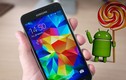 Đón năm mới, Samsung Galaxy S5 nhận cập nhật Android 5.0