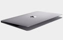 Apple ra mắt Macbook 12 inch siêu mỏng, trang bị USB Type-C