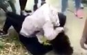 Sở GD&ĐT Lạng Sơn vào cuộc vụ nữ sinh đánh nhau vì tình