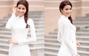 HH Phạm Hương đẹp hút hồn với áo dài trắng tinh khôi