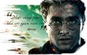 Harry Potter: Truyện - phim và những sự thật ít ai biết 