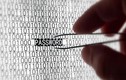 Kaspersky Lab: 51% người dùng lưu trữ mật khẩu thiếu an toàn