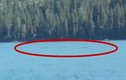 Video: Hồ nước TQ nghi xuất hiện 'quái vật hồ Loch Ness'