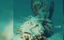 Video: Loài cá đi bộ kỳ dị dưới biển sâu