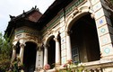 Cây dại bao trùm biệt thự gần 100 tuổi bỏ hoang ở Sài Gòn