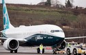 Phản ứng trái ngược của các hãng có Boeing 737 Max sau vụ rơi máy bay