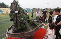 Chiêm ngưỡng “Việt Bắc thu nhỏ” được “hét” giá 500 triệu đồng 