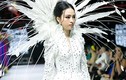 Trương Hồ Phương Nga phản ứng ra sao trước ồn ào catwalk?