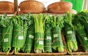 Tương lai không xa: 100% siêu thị Hà Nội không dùng túi nylon