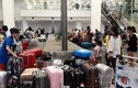 Hai nữ hành khách đánh nhau bị thương ở sân bay Nội Bài