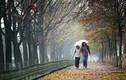 Thời tiết ngày 23/10: Đón gió mùa, Bắc Bộ trở mưa dông gió lạnh