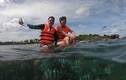 Quang Vinh - Phạm Quỳnh Anh bị chỉ trích “phá hoại” san hô Phú Quốc