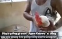 Video: Loài gà “độc nhất vô nhị” cất tiếng gáy như tiếng cười 