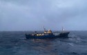 Bộ Ngoại giao thông tin về tàu Nga gặp nạn được Việt Nam cứu hộ