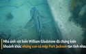 Video: Thích thú khoảnh khắc cá mập tán tỉnh nhau