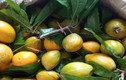 Loại quả quê ở Việt Nam chín rụng đầy gốc, trên Amazon rao bán 1,5 triệu/kg gây bất ngờ